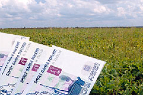 Как выбрать участок в коттеджном поселке без подряда