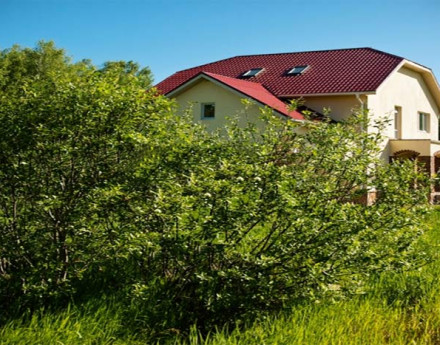 Окрестности Форест Вилладж