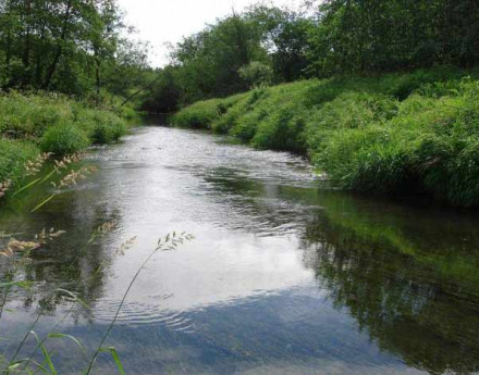 Природа в поселке Малая истра