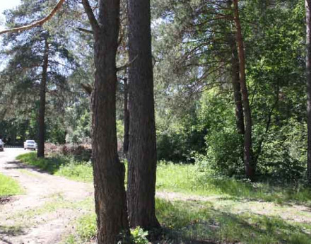 Территория Ильинский