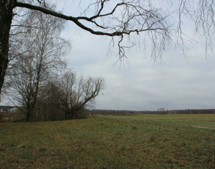 Коттеджный поселок Чеховские сосны