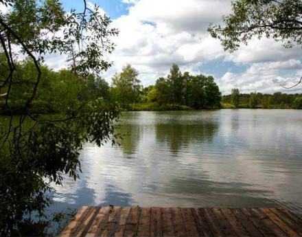 Территория Комильфо