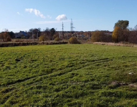 Виды Рижская дубрава