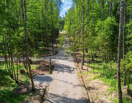 Виды Прилесной