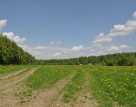 Участки Лесная подкова на Ярославском шоссе