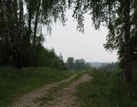 Дорога в поселок Покровский холм