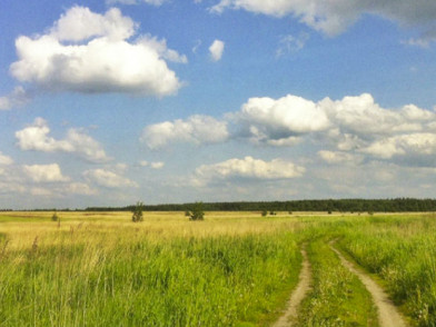 Дачный поселок Петровский луг