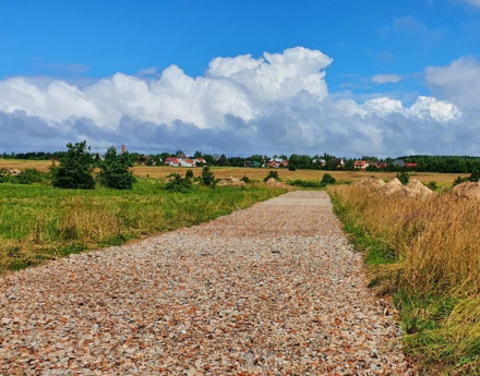 Виды Альбатрос