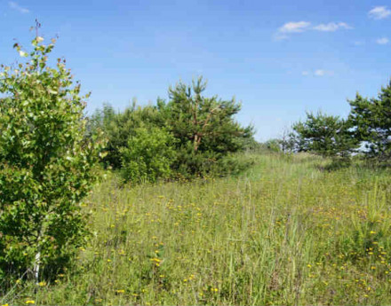 Купить дом в дачном поселке Заокская долина 