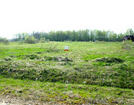 Строительство Лесные дворики