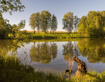 Виды Большое Татариново
