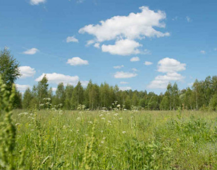 Участки  Приокская поляна -2