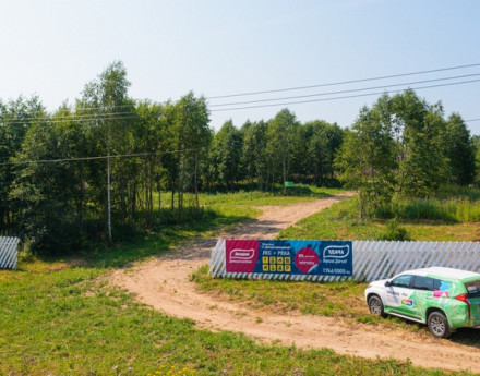 Виды Акация