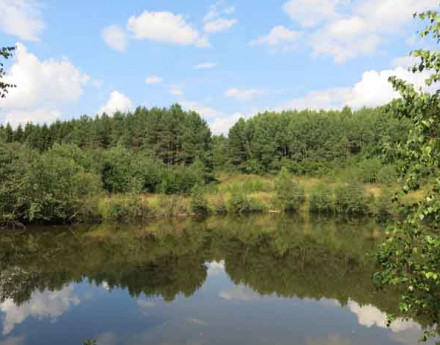 Коттеджный поселок Тургеневские дачи