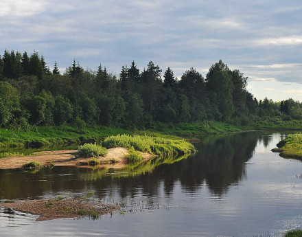 Виды Защепино