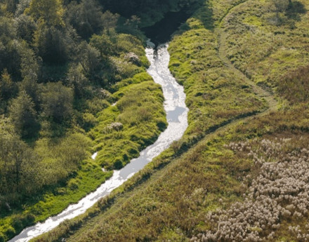 Виды Мотяково Лайф