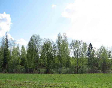 Участки в Калужской области