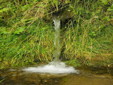 Территория Родники