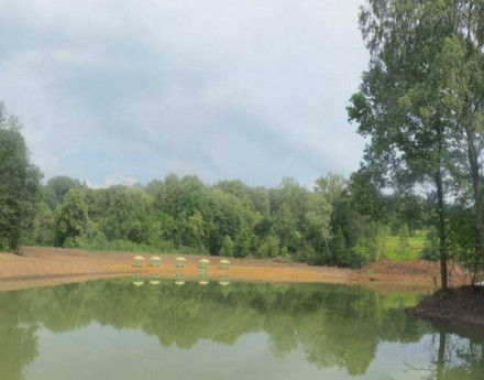 Окрестности Петрович на даче