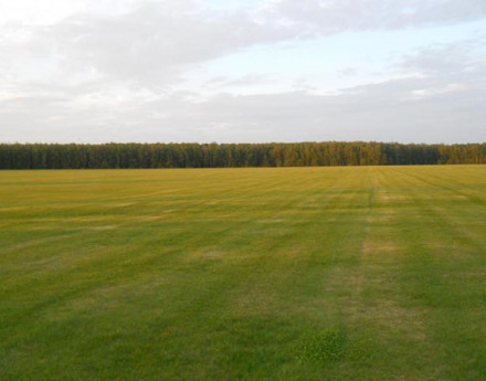 Дачный поселок Защепино