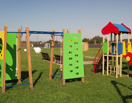 Виды Березки life