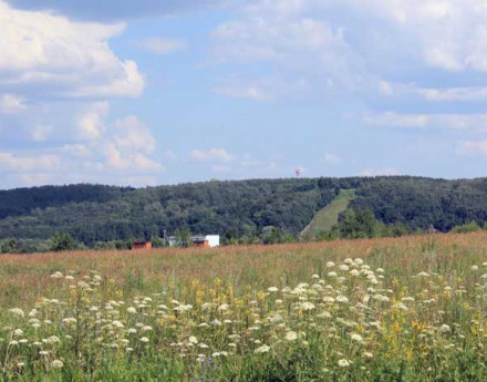 Территория Солнечный берег