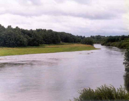 Дачный поселок Степаньково