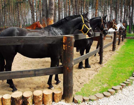 Территория Дракино Вилладж