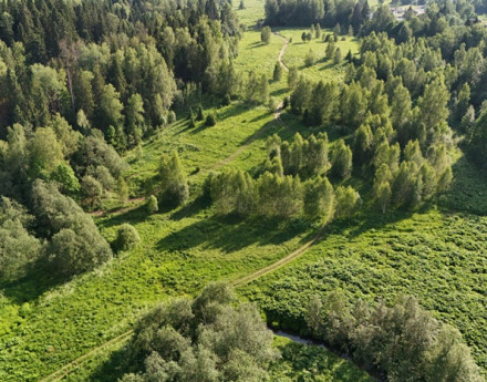 Поселок Удинские дачи