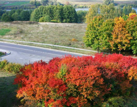 Территория Заокская долина