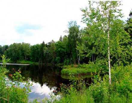 Окрестности Покровские земли