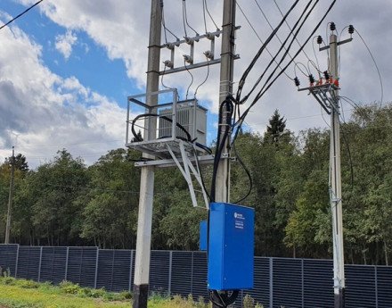 Виды Альбатрос