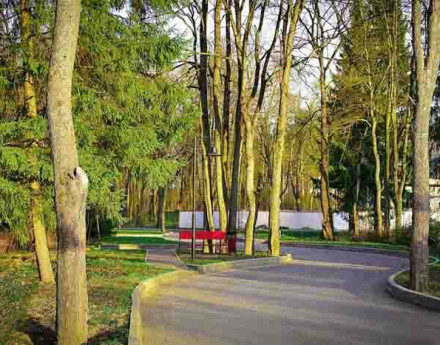Поселок-парк Новолеоново