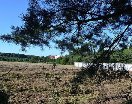 Виды поселка Мальта