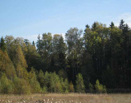 Коттеджный поселок Веретея