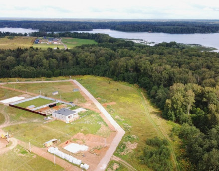 Виды Альбатрос