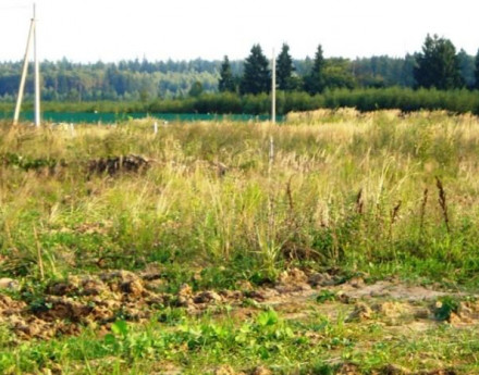 Коттеджный поселок Лайм