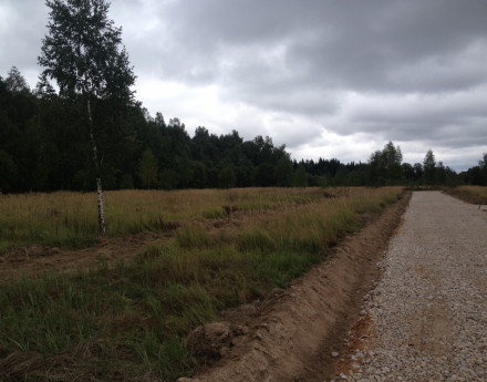 Дорога в поселок Вихрово-Парк