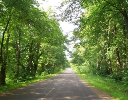Дорога в поселок Озернинские просторы