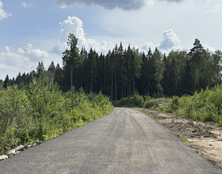 Виды Еловый край