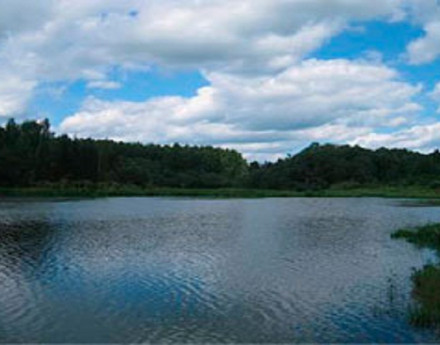 Коттеджный поселок Уэльс