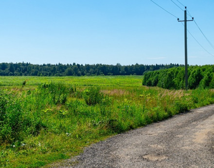 Виды Поваровская слобода