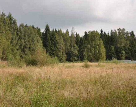 Территория Ермолино Парк