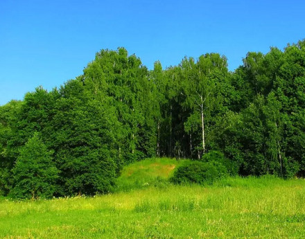 Виды Тефаново