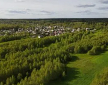 Дачный поселок Деньково Дачное