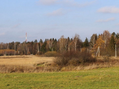 Коттеджный поселок Рижская дубрава