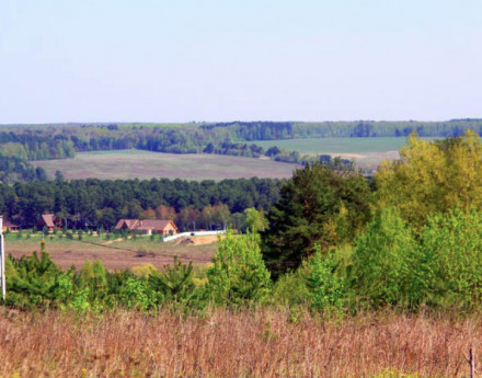 Коттеджный поселок Лёвшино
