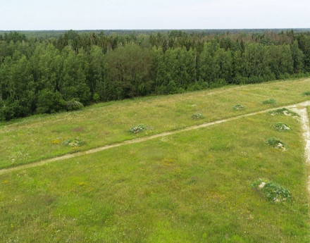 Дачный поселок Романовские сады