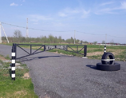 Виды Янтарный