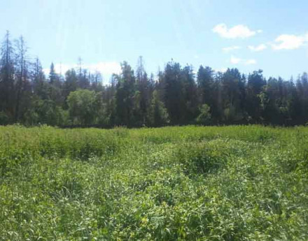 Территория Два озера